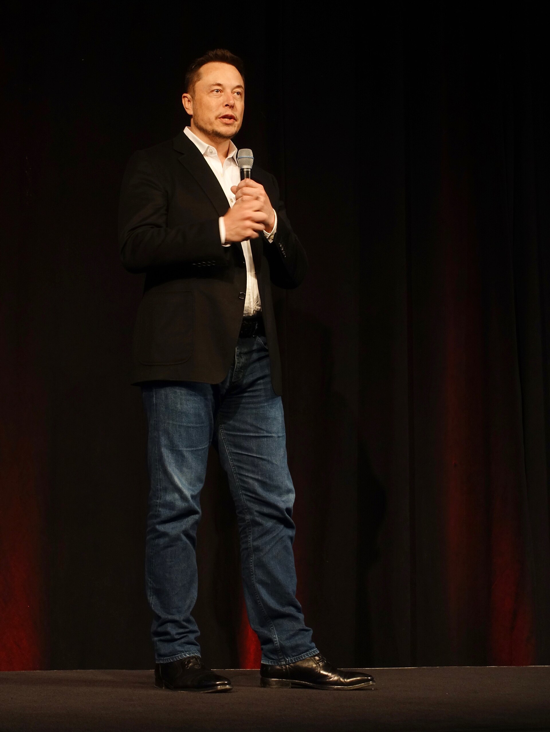 Tesla 2017 Annual Shareholder Meeting (34759401220)